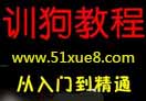 Ӗ(xn)g(sh)̳